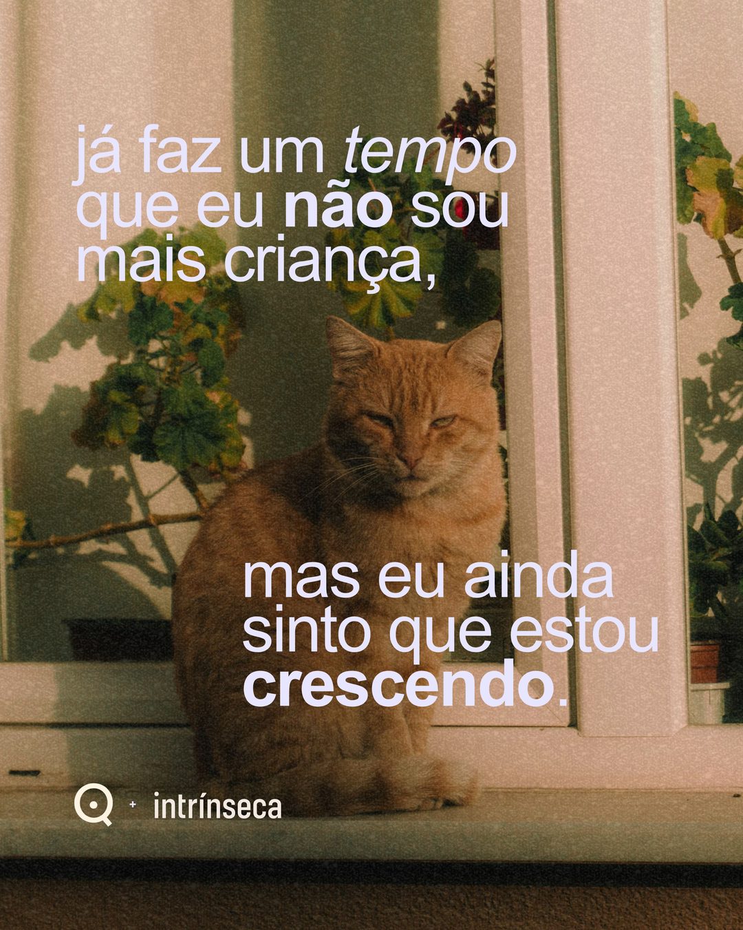 Conteúdo criado para Querida Sanidade + Intrínseca